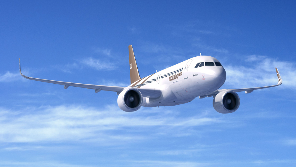Baltimore Airbus ACJ320 Charter